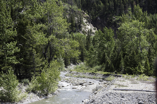 Filename=DSC_0072.jpg
Filesize=26783KiB
Dimensions=7360x4912
Date added=Sep 20, 2019 DSC_0072.jpg