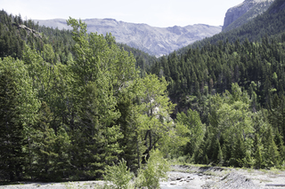 Filename=DSC_0073.jpg
Filesize=28652KiB
Dimensions=7360x4912
Date added=Sep 20, 2019 DSC_0073.jpg