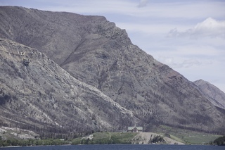 Filename=DSC_0078.jpg
Filesize=21483KiB
Dimensions=7360x4912
Date added=Sep 20, 2019 DSC_0078.jpg