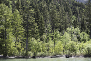 Filename=DSC_0081.jpg
Filesize=34246KiB
Dimensions=7360x4912
Date added=Sep 20, 2019 DSC_0081.jpg