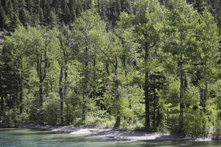 Filename=DSC_0082.jpg
Filesize=30818KiB
Dimensions=7360x4912
Date added=Sep 20, 2019 DSC_0082.jpg