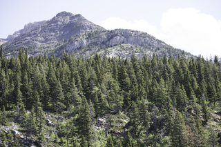 Filename=DSC_0083.jpg
Filesize=24488KiB
Dimensions=7360x4912
Date added=Sep 20, 2019 DSC_0083.jpg