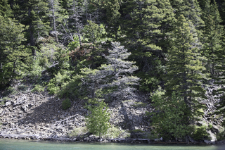 Filename=DSC_0086.jpg
Filesize=26648KiB
Dimensions=7360x4912
Date added=Sep 20, 2019 DSC_0086.jpg