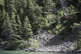 Filename=DSC_0087.jpg
Filesize=27101KiB
Dimensions=7360x4912
Date added=Sep 20, 2019 DSC_0087.jpg