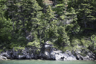 Filename=DSC_0088.jpg
Filesize=27487KiB
Dimensions=7360x4912
Date added=Sep 20, 2019 DSC_0088.jpg