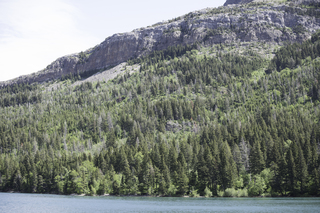 Filename=DSC_0098.jpg
Filesize=27755KiB
Dimensions=7360x4912
Date added=Sep 20, 2019 DSC_0098.jpg