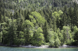 Filename=DSC_0106.jpg
Filesize=29664KiB
Dimensions=7360x4912
Date added=Sep 20, 2019 DSC_0106.jpg