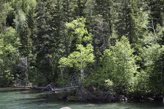 Filename=DSC_0114.jpg
Filesize=26550KiB
Dimensions=7360x4912
Date added=Sep 20, 2019 DSC_0114.jpg