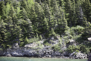 Filename=DSC_0121.jpg
Filesize=25313KiB
Dimensions=7360x4912
Date added=Sep 20, 2019 DSC_0121.jpg