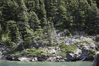 Filename=DSC_0122.jpg
Filesize=27216KiB
Dimensions=7360x4912
Date added=Sep 20, 2019 DSC_0122.jpg