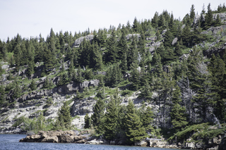 Filename=DSC_0134.jpg
Filesize=24163KiB
Dimensions=7360x4912
Date added=Sep 20, 2019 DSC_0134.jpg