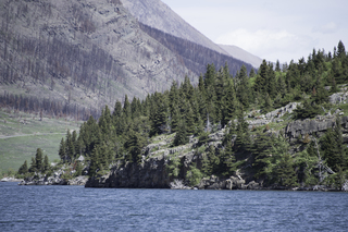 Filename=DSC_0135.jpg
Filesize=23365KiB
Dimensions=7360x4912
Date added=Sep 20, 2019 DSC_0135.jpg