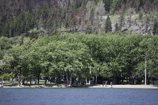 Filename=DSC_0146.jpg
Filesize=27349KiB
Dimensions=7360x4912
Date added=Sep 20, 2019 DSC_0146.jpg