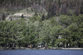 Filename=DSC_0147.jpg
Filesize=27761KiB
Dimensions=7360x4912
Date added=Sep 20, 2019 DSC_0147.jpg