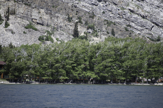 Filename=DSC_0151.jpg
Filesize=26552KiB
Dimensions=7360x4912
Date added=Sep 20, 2019 DSC_0151.jpg