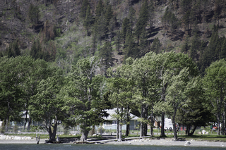 Filename=DSC_0152.jpg
Filesize=25876KiB
Dimensions=7360x4912
Date added=Sep 20, 2019 DSC_0152.jpg