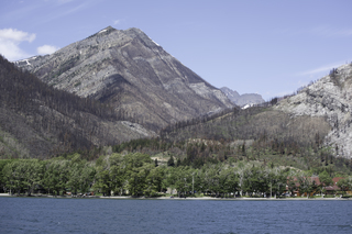 Filename=DSC_0154.jpg
Filesize=22948KiB
Dimensions=7360x4912
Date added=Sep 20, 2019 DSC_0154.jpg