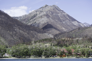 Filename=DSC_0160.jpg
Filesize=23963KiB
Dimensions=7360x4912
Date added=Sep 20, 2019 DSC_0160.jpg