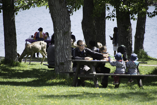 Filename=DSC_0174.jpg
Filesize=18683KiB
Dimensions=7360x4912
Date added=Sep 20, 2019 DSC_0174.jpg