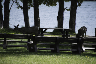 Filename=DSC_0177.jpg
Filesize=15427KiB
Dimensions=7360x4912
Date added=Sep 20, 2019 DSC_0177.jpg