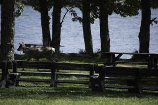 Filename=DSC_0178.jpg
Filesize=15147KiB
Dimensions=7360x4912
Date added=Sep 20, 2019 DSC_0178.jpg