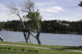 Filename=DSC_0187.jpg
Filesize=19290KiB
Dimensions=7360x4912
Date added=Sep 20, 2019 DSC_0187.jpg