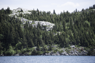 Filename=DSC_0197.jpg
Filesize=23681KiB
Dimensions=7360x4912
Date added=Sep 20, 2019 DSC_0197.jpg