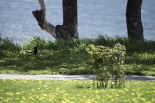 Filename=DSC_0199.jpg
Filesize=20320KiB
Dimensions=7360x4912
Date added=Sep 20, 2019 DSC_0199.jpg