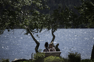 Filename=DSC_0201.jpg
Filesize=14820KiB
Dimensions=7360x4912
Date added=Sep 20, 2019 DSC_0201.jpg