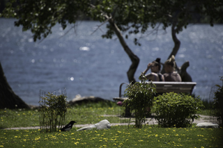 Filename=DSC_0205.jpg
Filesize=16048KiB
Dimensions=7360x4912
Date added=Sep 20, 2019 DSC_0205.jpg