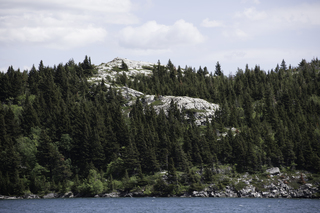 Filename=DSC_0209.jpg
Filesize=19548KiB
Dimensions=7360x4912
Date added=Sep 20, 2019 DSC_0209.jpg