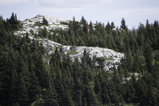 Filename=DSC_0210.jpg
Filesize=21213KiB
Dimensions=7360x4912
Date added=Sep 20, 2019 DSC_0210.jpg