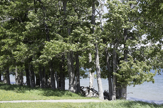 Filename=DSC_0216.jpg
Filesize=28461KiB
Dimensions=7360x4912
Date added=Sep 20, 2019 DSC_0216.jpg