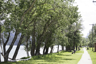 Filename=DSC_0221.jpg
Filesize=23469KiB
Dimensions=7360x4912
Date added=Sep 20, 2019 DSC_0221.jpg