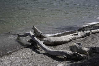 Filename=DSC_0222.jpg
Filesize=24810KiB
Dimensions=7360x4912
Date added=Sep 20, 2019 DSC_0222.jpg