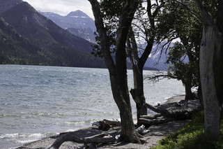 Filename=DSC_0223.jpg
Filesize=20290KiB
Dimensions=7360x4912
Date added=Sep 20, 2019 DSC_0223.jpg