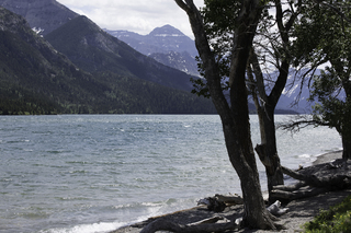 Filename=DSC_0224.jpg
Filesize=21998KiB
Dimensions=7360x4912
Date added=Sep 20, 2019 DSC_0224.jpg