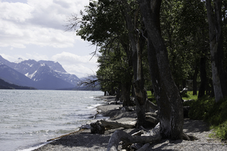 Filename=DSC_0229.jpg
Filesize=18465KiB
Dimensions=7360x4912
Date added=Sep 20, 2019 DSC_0229.jpg