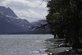 Filename=DSC_0231.jpg
Filesize=18318KiB
Dimensions=7360x4912
Date added=Sep 20, 2019 DSC_0231.jpg