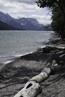 Filename=DSC_0237.jpg
Filesize=19641KiB
Dimensions=4912x7360
Date added=Sep 20, 2019 DSC_0237.jpg