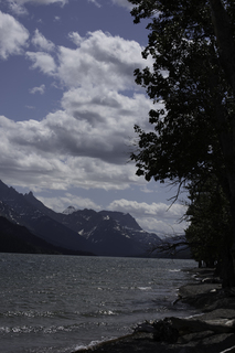 Filename=DSC_0238.jpg
Filesize=15348KiB
Dimensions=4912x7360
Date added=Sep 20, 2019 DSC_0238.jpg