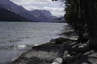 Filename=DSC_0240.jpg
Filesize=18941KiB
Dimensions=7360x4912
Date added=Sep 20, 2019 DSC_0240.jpg