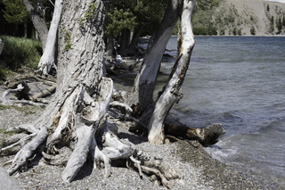 Filename=DSC_0243.jpg
Filesize=21909KiB
Dimensions=7360x4912
Date added=Sep 20, 2019 DSC_0243.jpg