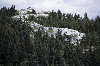 Filename=DSC_0252.jpg
Filesize=21244KiB
Dimensions=7360x4912
Date added=Sep 20, 2019 DSC_0252.jpg