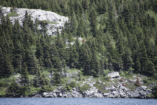 Filename=DSC_0253.jpg
Filesize=30023KiB
Dimensions=7360x4912
Date added=Sep 20, 2019 DSC_0253.jpg