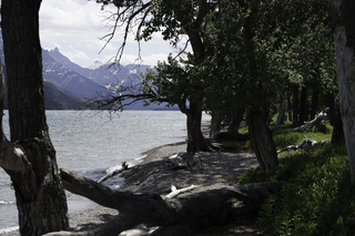 Filename=DSC_0256.jpg
Filesize=16752KiB
Dimensions=7360x4912
Date added=Sep 20, 2019 DSC_0256.jpg