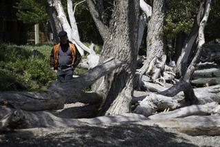 Filename=DSC_0265.jpg
Filesize=16514KiB
Dimensions=7360x4912
Date added=Sep 20, 2019 DSC_0265.jpg