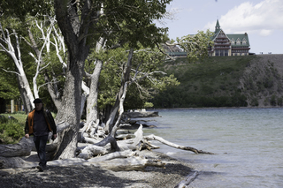 Filename=DSC_0268.jpg
Filesize=19809KiB
Dimensions=7360x4912
Date added=Sep 20, 2019 DSC_0268.jpg