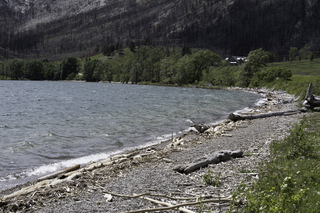 Filename=DSC_0274.jpg
Filesize=25647KiB
Dimensions=7360x4912
Date added=Sep 20, 2019 DSC_0274.jpg