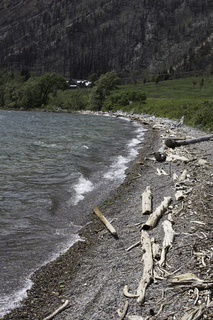 Filename=DSC_0283.jpg
Filesize=24310KiB
Dimensions=4912x7360
Date added=Sep 20, 2019 DSC_0283.jpg